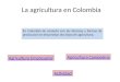 La agricultura en Colombia En Colombia de acuerdo con las técnicas y formas de producción se desarrollan dos tipos de agricultura: Agricultura Empresarial