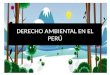 DERECHO AMBIENTAL EN EL PERÚ. La Ley Marco para el Crecimiento de la Inversión Privada (Decreto Legislativo N° 757, publicado en el diario oficial