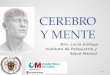 CEREBRO Y MENTE Dra. Lucía Gallego Instituto de Psiquiatría y Salud Mental