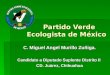 Partido Verde Ecologista de México Partido Verde Ecologista de México C. Miguel Angel Murillo Zuñiga. Candidato a Diputado Suplente Distrito II CD. Juárez,