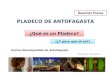 Ilustre Municipalidad de Antofagasta PLADECO DE ANTOFAGASTA ¿Qué es un Pladeco? PULSO S.A. Consultores (¿Y para qué sirve?) Resumen Prensa