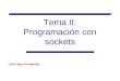 Tema II: Programación con sockets Luis López Fernández