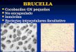 BRUCELLA Cocobacilos GN pequeños Cocobacilos GN pequeños No encapsulado No encapsulado Inmóviles Inmóviles Bacterias intracelulares facultativo (Ret. Endotelial)