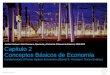 July 31, 2015 | Slide 1 Capitulo 2 Conceptos Básicos de Economía Fundamentals of Power System Economics (Daniel S. Kirschen / Goran Strabac) Andrés Córdova