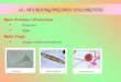 16.- MICROORGANISMOS EUCARIOTAS Reino Protistas o Protoctistas Protozoos Algas Reino Fungi: Hongos (mohos y levaduras)