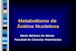 Metabolismo de Ácidos Nucleicos María Bárbara De Biasio Facultad de Ciencias Veterinarias