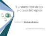 Fundamentos de los procesos biológicos Unidad I: Biología Básica Ing. María Elena Ramírez Chavarría