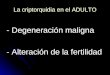 La criptorquidia en el ADULTO - Degeneración maligna - Alteración de la fertilidad