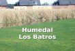 Humedal Los Batros. Construcción de viviendas sobre Humedal Los Batros Impacto ecológico y social