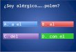 ¿Soy alérgico…….polen? A. a el B. al C. del C. del D. con el