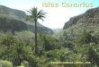 Islas Canarias ALVARO GARCÍA LÓPÈZ 4ºA. El Clima Canario El clima es subtropical oceánico. Hay variaciones muy importantes en cuanto a las precipitaciones