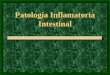 Patología Inflamatoria Intestinal. Patología Inflamatoria Intestinal Apendicitis aguda