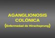 AGANGLIONOSIS COL“NICA ( Enfermedad de Hirschsprung )