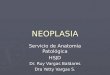 NEOPLASIA Servicio de Anatomía Patológica HSJD Dr. Ruy Vargas Baldares Dra Yetty Vargas S