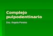 Complejo pulpodentinario Dra. Ángela Pereira. Complejo pulpodentinario  La dentina y la pulpa son embriológicamente,histológicamente y funcionalmente