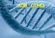 ADN - GENES Colegio Leonardo Da Vinci - Ciencias para el mundo contemporáneo