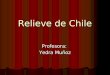 Relieve de Chile Profesora: Yedra Muñoz. RELIEVE DE CHILE Fuerzas endógenas + Fuerzas exógenos= Fuerzas endógenas + Fuerzas exógenos= RELIEVE RELIEVE