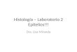 Histología – Laboratorio 2 Epitelios!!! Dra. Lisa Miranda