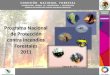 Programa Nacional de Protección contra Incendios Forestales 2011 COMISIÓN NACIONAL FORESTAL COORDINACION GENERAL DE CONSERVACION Y RESTAURACIÓN GERENCIA