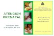 República de Honduras Secretaría de Salud Subsecretaria de Riesgos Poblacionales Dirección General de Promoción de la Salud Departamento de Salud Integral