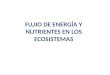 FLUJO DE ENERGÍA Y NUTRIENTES EN LOS ECOSISTEMAS