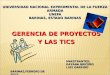 GERENCIA DE PROYECTOS Y LAS TICS MAESTRANTES: DAYANA BRICEÑO LUIS GARRIDO BARINAS,FEBRERO DE 2013