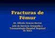 Fracturas de Fémur Dr. Alfredo Donoso Barros Jefe de Servicio Ortopedia y Traumatología Hospital Regional de Talca