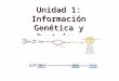 Unidad 1: Información Genética y Proteínas. ¿Qué es el material hereditario? A comienzos del sigo XX, la comparación entre el comportamiento de los cromosomas