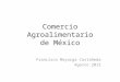 Comercio Agroalimentario de México Francisco Mayorga Castañeda Agosto 2013