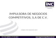 IMPULSORA DE NEGOCIOS COMPETITIVOS, S.A DE C.V. MODELO DE NEGOCIOS 2012