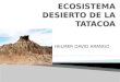 HELMER DAVID ARANGO.  El Desierto de la Tatacoa se encuentra cerca del pueblo de Villavieja Colombia.  330 kilómetros cuadrados.  El segundo lugar