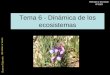Susana Fajarnés IES Veles e Vents Biología y Geología 4º ESO Tema 6 - Dinámica de los ecosistemas