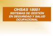 OHSAS 18001 SISTEMAS DE GESTIÓN EN SEGURIDAD Y SALUD OCUPACIONAL