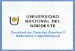 UNIVERSIDAD NACIONAL DEL NORDESTE Facultad de Ciencias Exactas Y Naturales y Agrimensura
