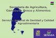 Secretaría de Agricultura, Ganadería, Pesca y Alimentos Servicio Nacional de Sanidad y Calidad Agroalimentaria SENASA