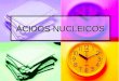ÁCIDOS NUCLEICOS. Ácidos Nucleicos Formados por subunidades llamadas nucleótidos; pueden ser un solo nucleótido o una cadena larga de nucleótidos. Formados
