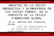 IMPACTOS DE LA CRISIS ENERGÉTICA Y ALIMENTARIA EN LOS PAÍSES POBRES, EN EL CONTEXTO DE LA CRISIS FINANCIERA GLOBAL M.sc. Walter del Tránsito Rivas Jefe