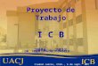 Proyecto de Trabajo I C B 2006 – 2012 Ciudad Juárez, Chih., 6 de sept. del 2006. DR. HUGO STAINES OROZCO