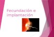 Fecundación e implantación. Fecundación Es la unión del ovulo con el espermatozoide proceso que señala el inicio del embarazo. Se requiere de cuatro