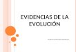 E VIDENCIAS DE LA EVOLUCIÓN Profesora Marcela Saavedra A
