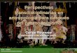 Perspectivas transdisciplinarias en antropología para después del posmodernismo Carlos Reynoso UNIVERSIDAD DE BUENOS AIRES 