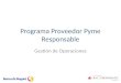 Programa Proveedor Pyme Responsable Gestión de Operaciones