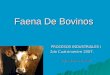 Faena De Bovinos PROCESOS INDUSTRIALES I 2do Cuatrimestre 2007. Ing. Adriana Carratú