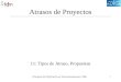 Principios De Tipificación en Telecomunicaciones, 2006 1 Atrasos de Proyectos 11: Tipos de Atraso, Propuestas