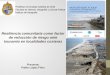 Resiliencia comunitaria como factor de reducción de riesgo ante tsunamis en localidades costeras Presenta: Pablo López Filun