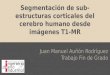 Segmentación de sub-estructuras corticales del cerebro humano desde imágenes T1-MR Juan Manuel Auñón Rodríguez Trabajo Fin de Grado