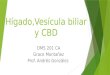 Hígado,Vesícula biliar y CBD DMS 201 CA Grace Montañez Prof. Andrés González