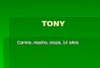 TONY Canino, macho, cruza, 14 años. 28/03/2007 Consulta por atrofia muscular generalizada, dificultad en la marcha y adelgazamiento