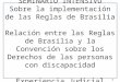 SEMINARIO INTENSIVO Sobre la implementación de las Reglas de Brasilia Relación entre las Reglas de Brasilia y la Convención sobre los Derechos de las personas