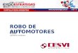 ROBO DE AUTOMOTORES Ing. Marcelo Aiello GERENTE GENERAL CAPÍTULO CESVI ARGENTINA